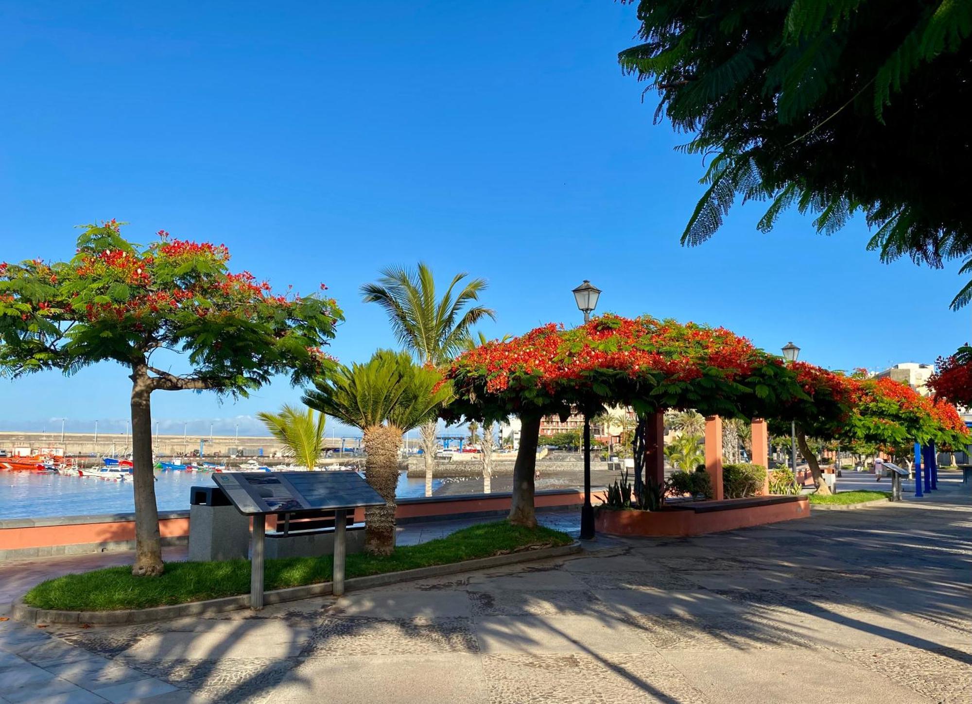 Casa Antonio - Apartamento Sol Playa de San Juan  Bagian luar foto